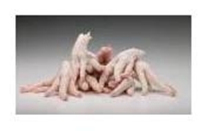 Picture of Drůbeží pařáty mražené 2kg