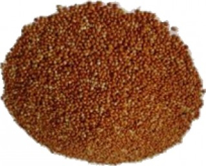 Picture of Proso červené 5kg - rozváženo