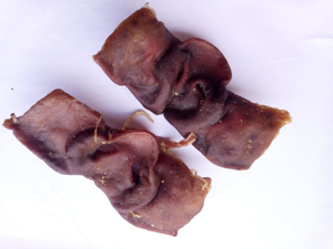 Picture of Sušené vepřové rypáčky 1/2 1kg - rozváženo