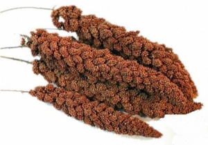 Picture of Proso senegalské červené 200g