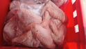 Obrázek Krůtí křídla celá (1kg)
